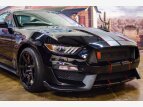Thumbnail Photo 1 for 2017 Ford Mustang Shelby GT350 Coupe